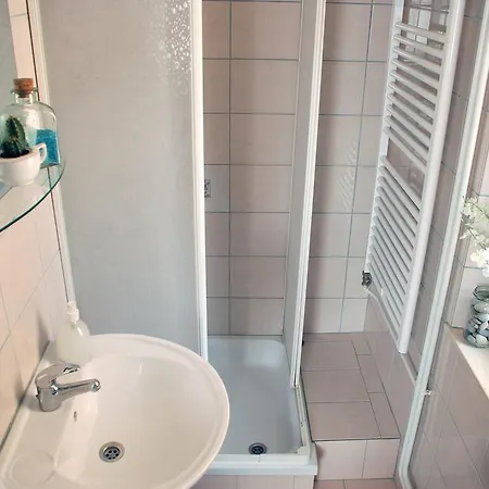 Apartment Mircek *